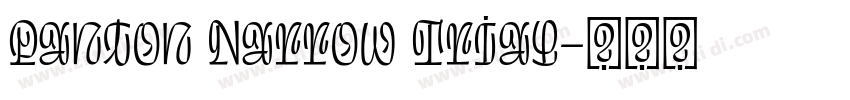 Panton Narrow Trial字体转换